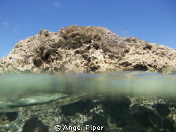 I was standing by the rock when i saw a school of tiny li... by Angel Piper 